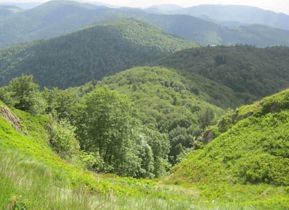 Collines dans les Vosges