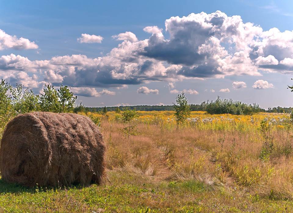 Paysage Limousin