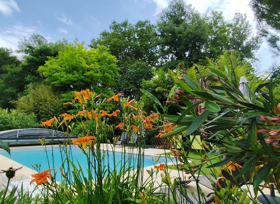 La piscine et ses environs