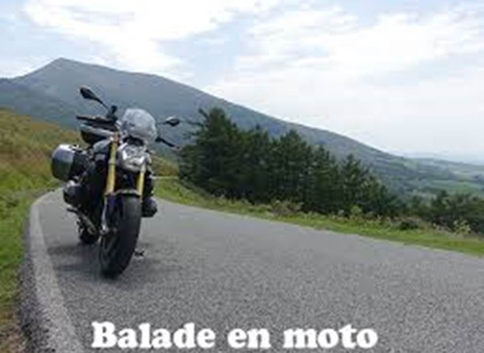 Sans titre