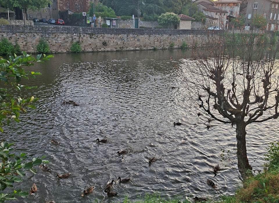 LES BORDS DU CELE
