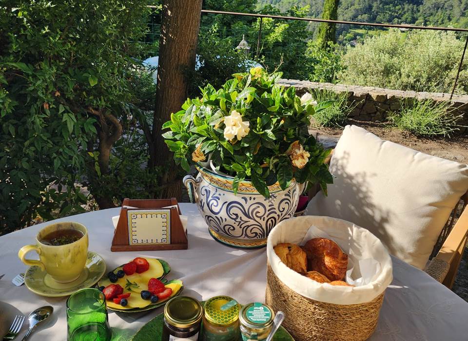Petit-déjeuner au jardin