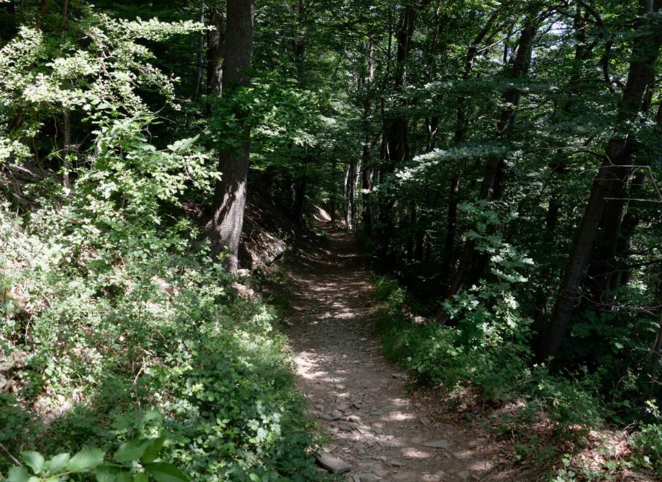Chemin de promenade