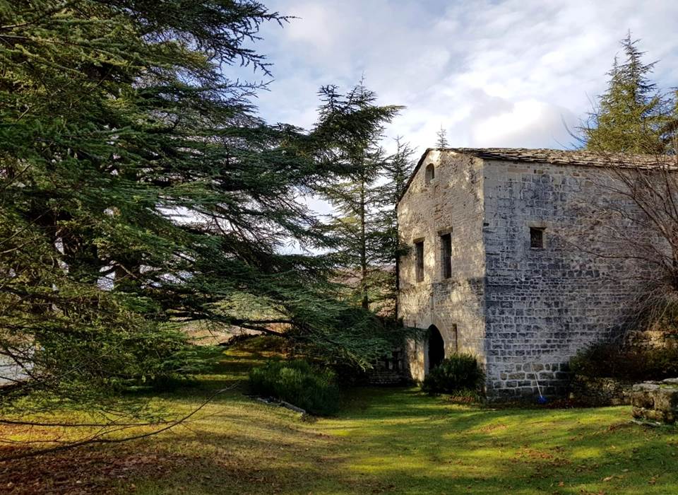 Sur le terrain le Cellier de l'Abbaye de Lure du XIIe siécle
