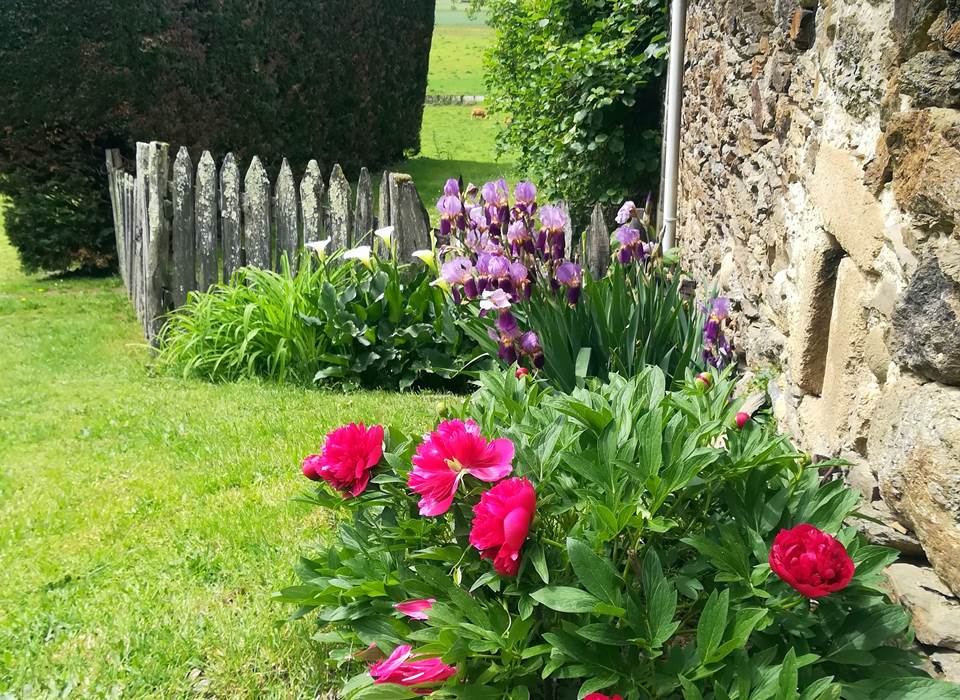 fleurs printemps