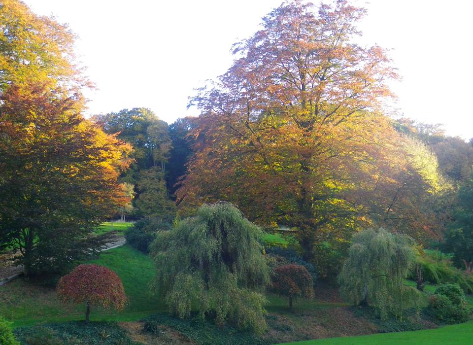 vue sur le parc