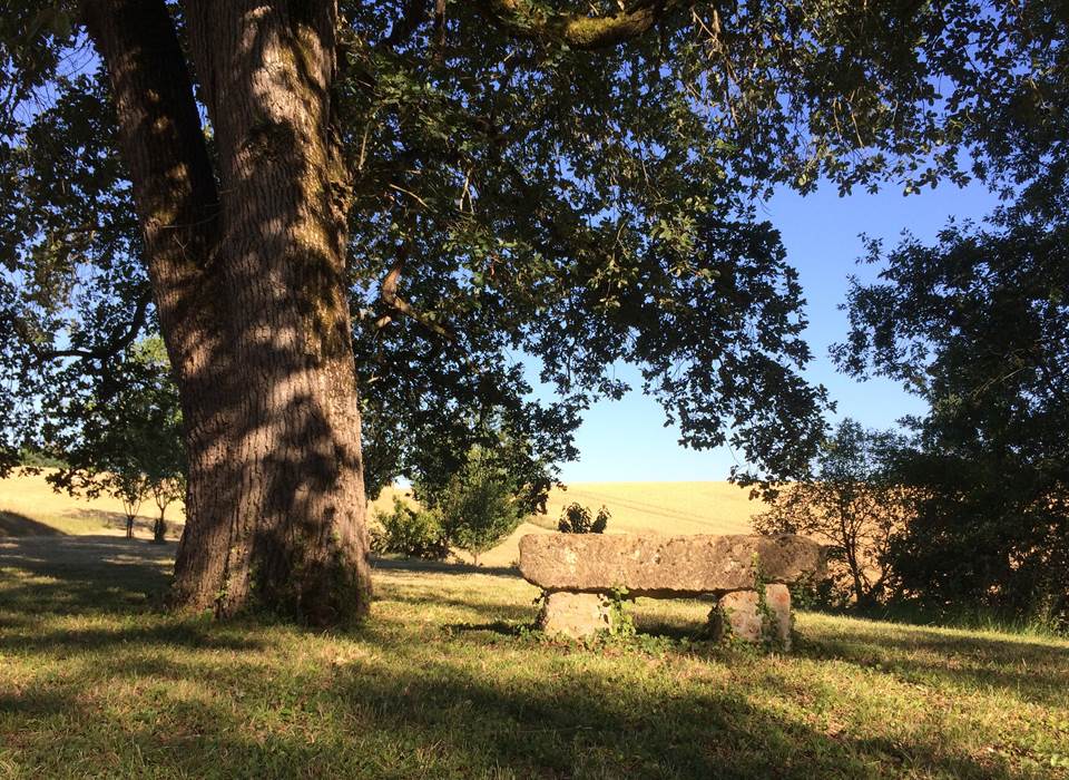 Banc de pierre et grand chêne dans le jardin de la Cordillière