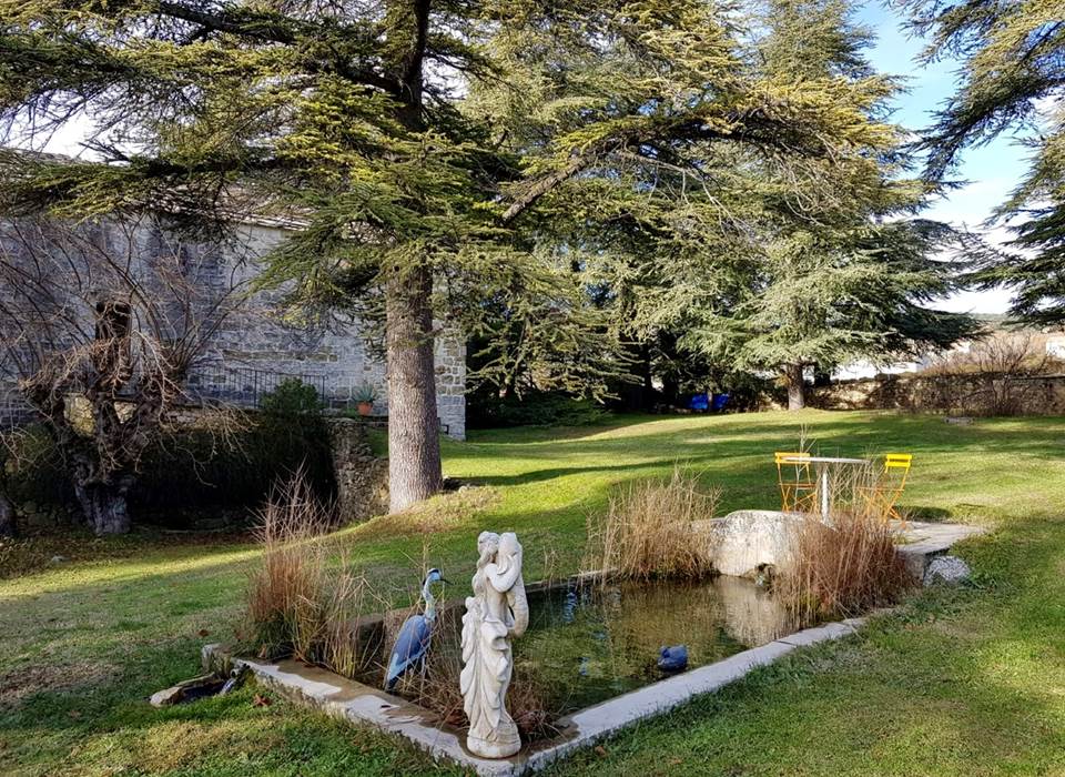 Le bassin et ses carpes