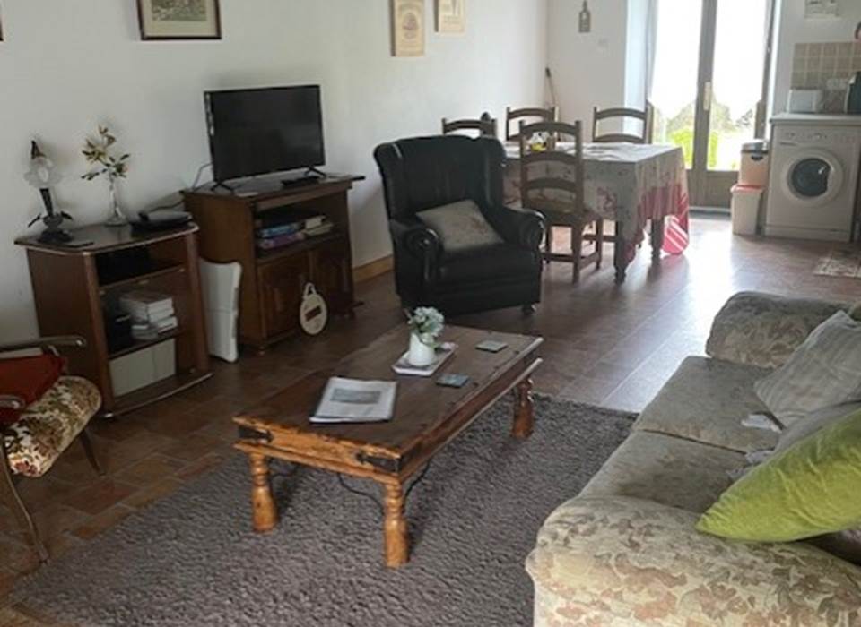 Living area in Water lilies (with sofa bed)