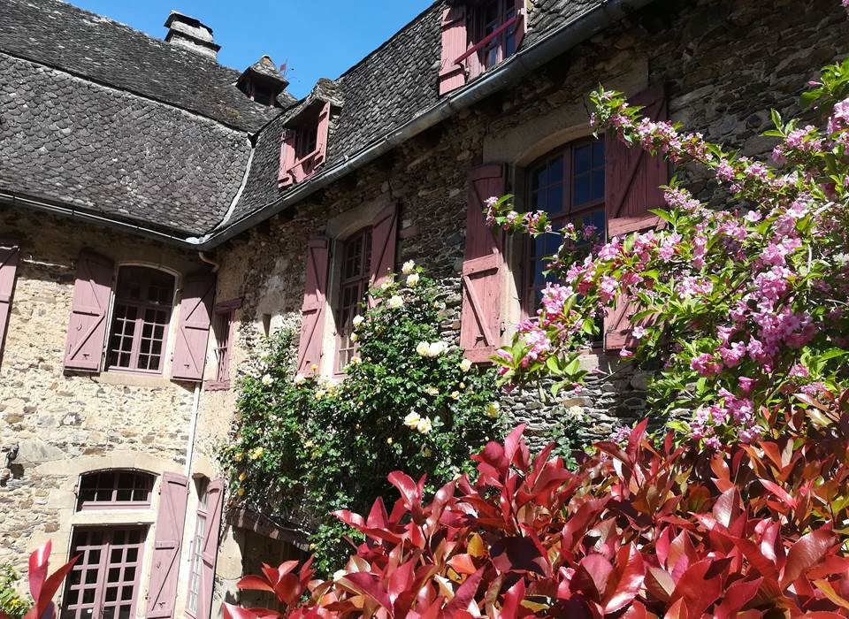 fleurs 17 (3) - Copie