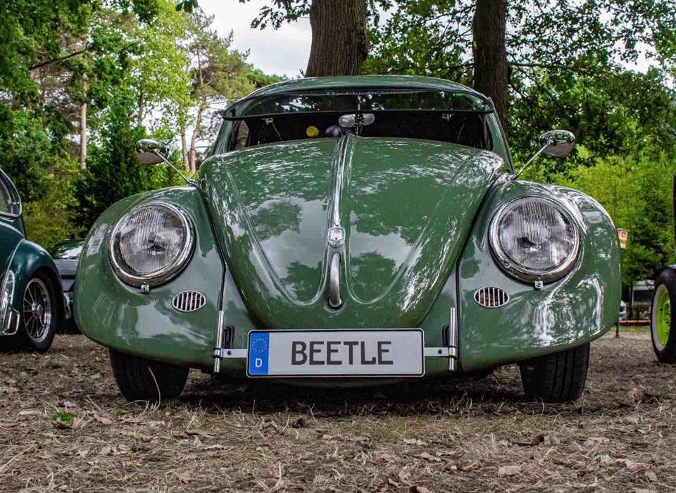 Une coccinelle à l'European Bug-In de Chimay