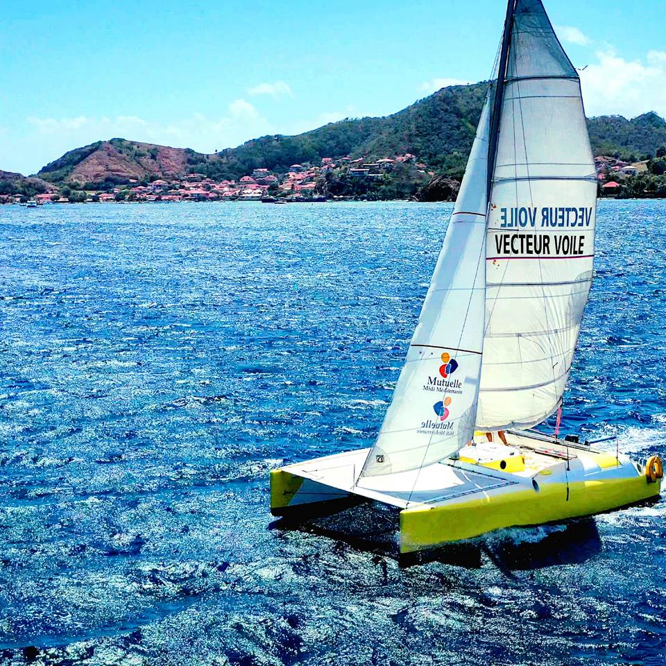 catamaran-baie-des-saintes-guadeloupe