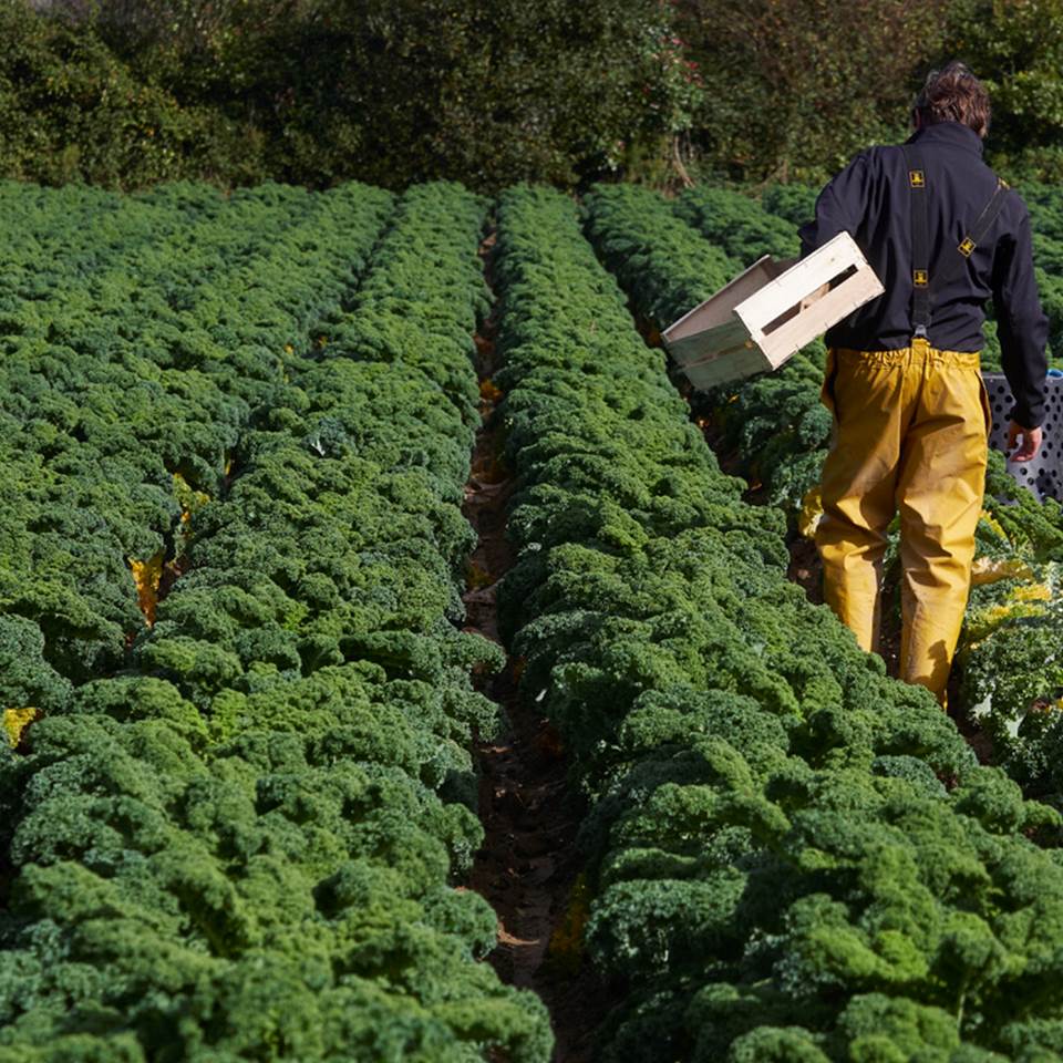 Activité à la ferme en Bretagne