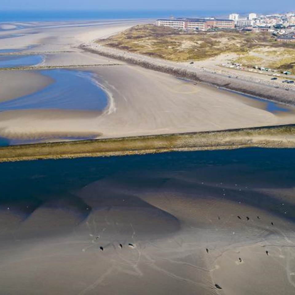 Location de velos Berck baie des phoques