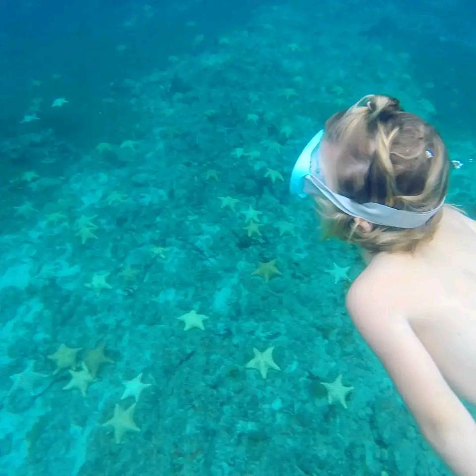 snorkeling-excursion-catamaran-les-saintes