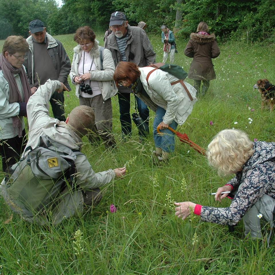 Fete-de-la-nature-2014-scaled