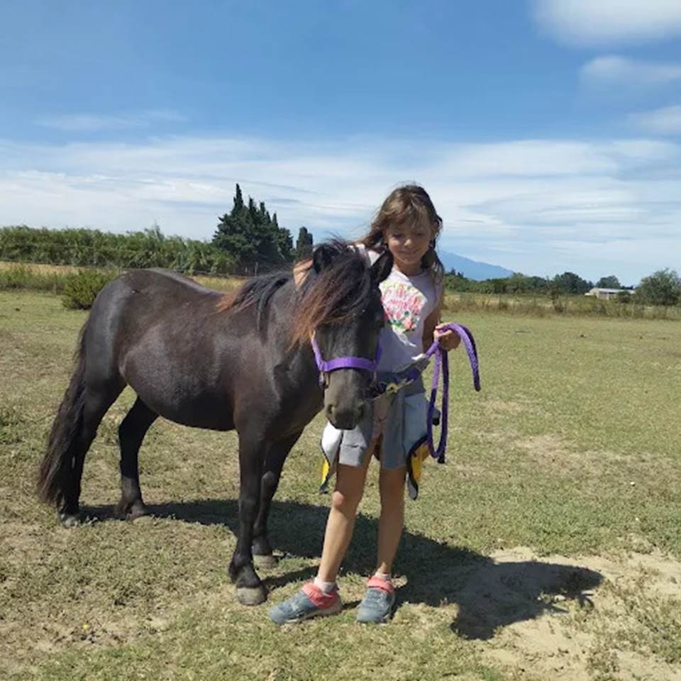 balade à poney Pyrénées-Orientales  promenade poney 66  activité enfant Pyrénées-Orientales  poney club 66  centre équestre Pyrénées-Orientales  balade à cheval 66  activité famille Pyrénées-Orientales  équitation enfant 66  balade à poney près de Perpignan  balade à poney bompas, claira, toreilles, barcares, canet en roussillon, sainte marie, Thuir, Pézilla, elne, cabestany, rivesaltes, saint estève