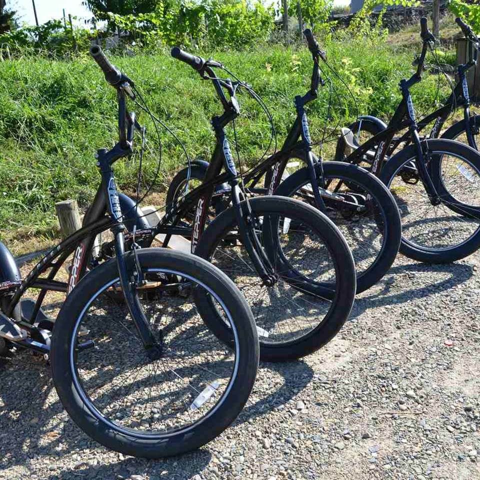 Vélos Steppers Pyrénées Atlantiques