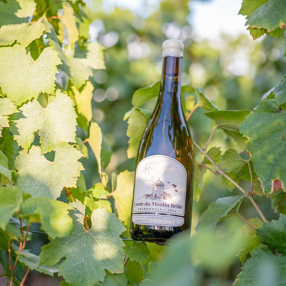 Packshot-Bouteilles-5