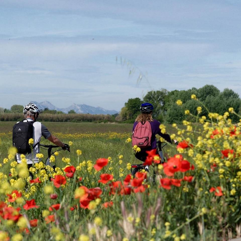 la-roque-d'antheron-location-velo-electrique-vente
