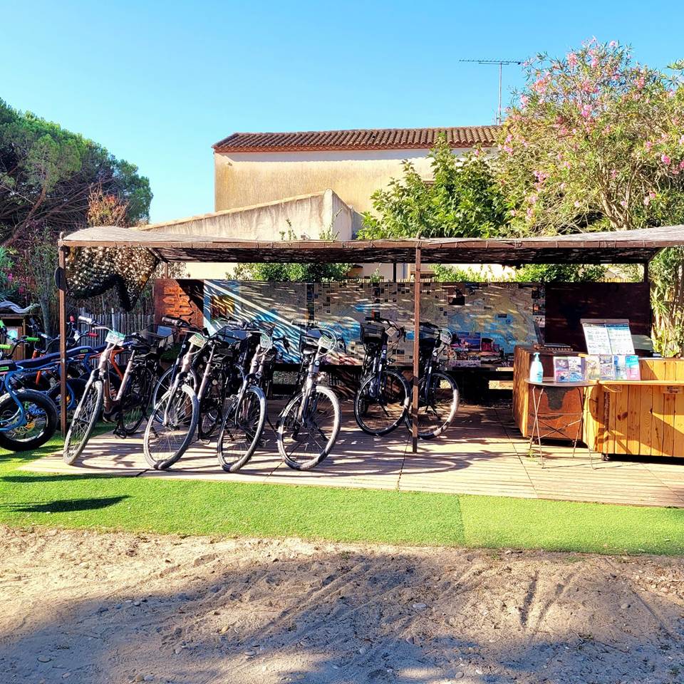 stations-bees-3-aigues-mortes