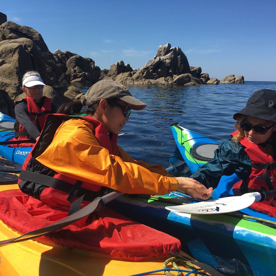 Abbartello kayak Corse paddle découverte de l environnement corse