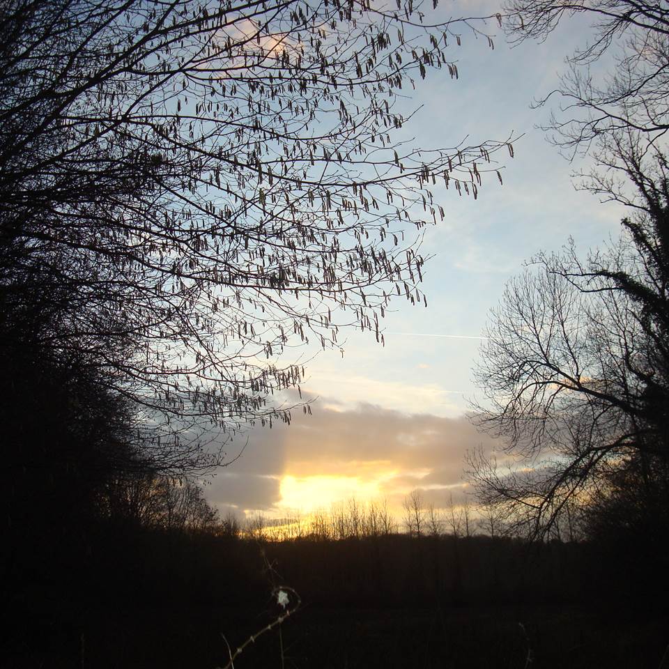 Nature Hauts de France