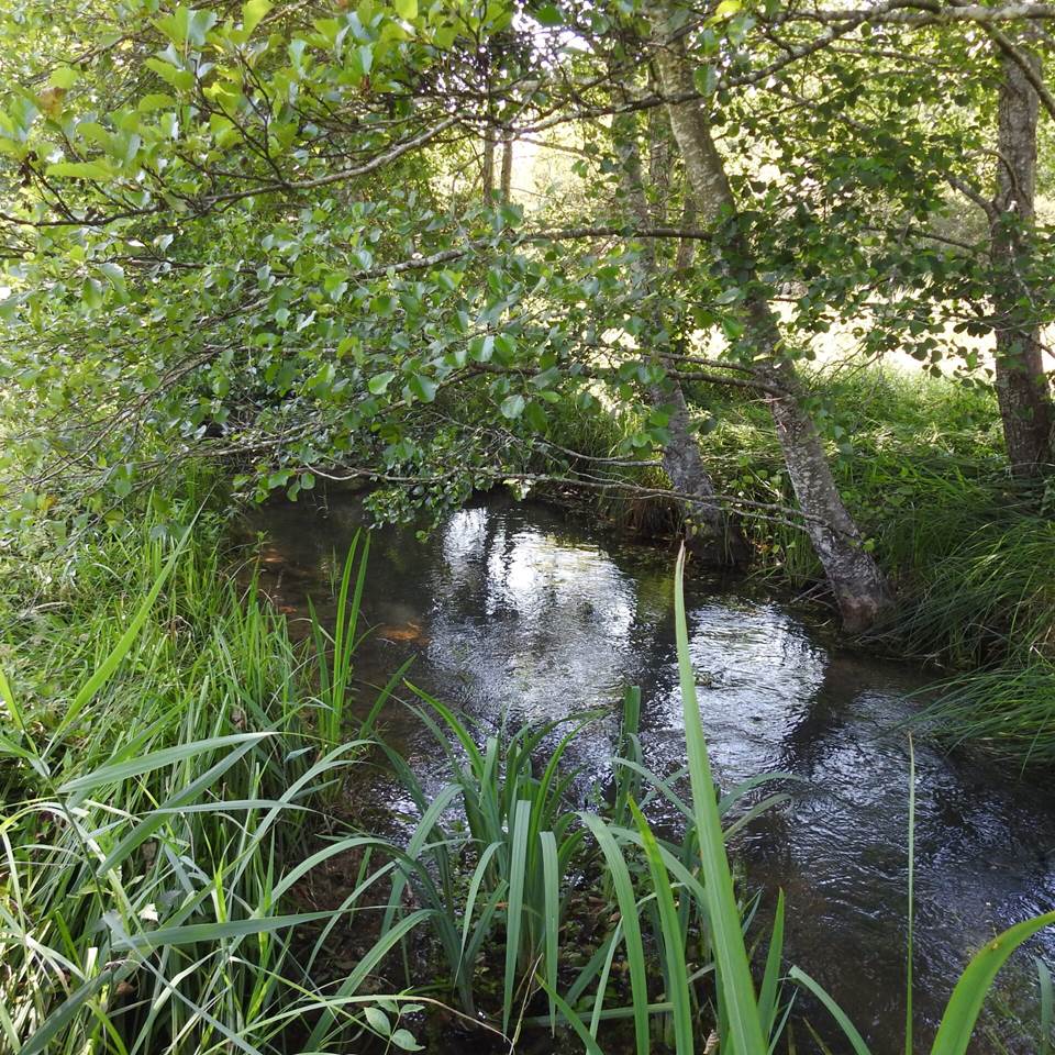 ruisseau1-scaled