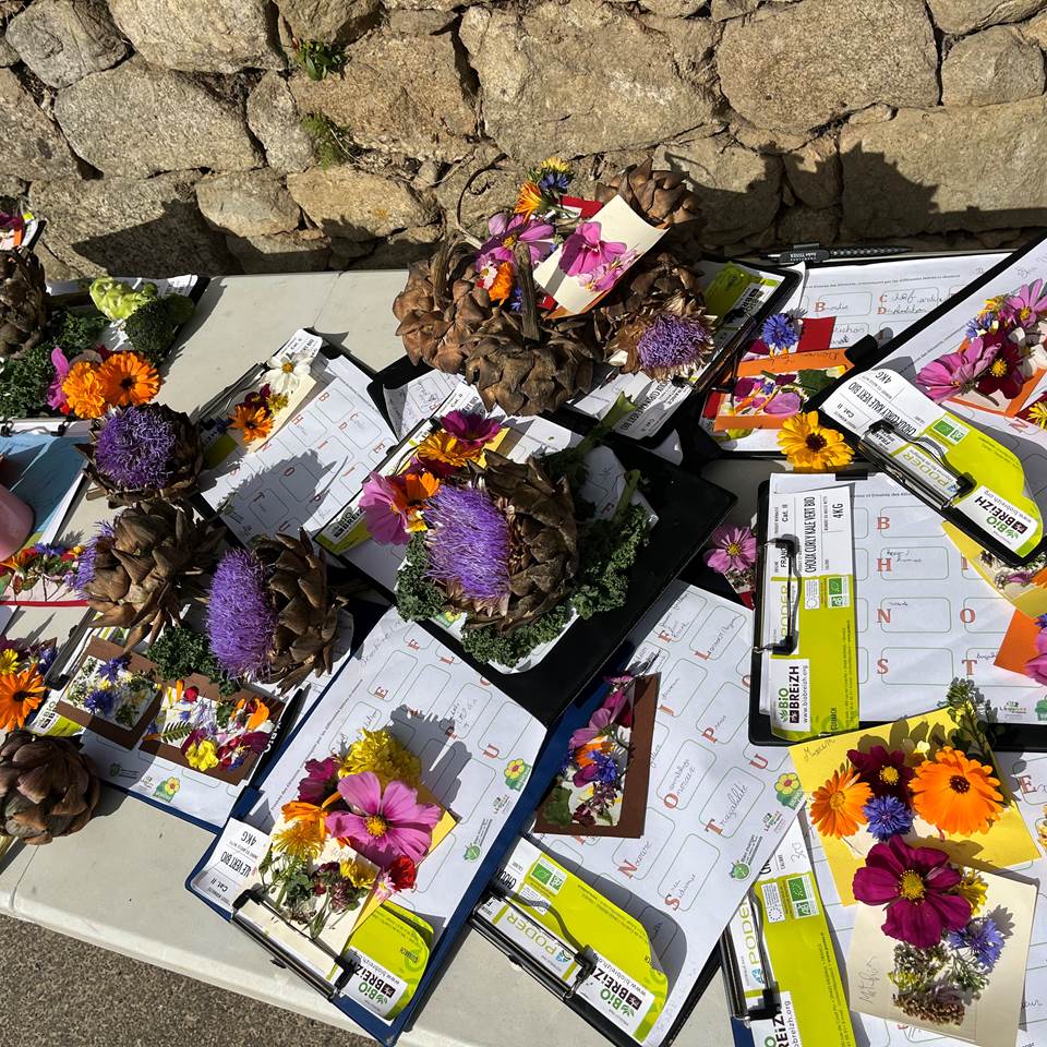 Légumes Project