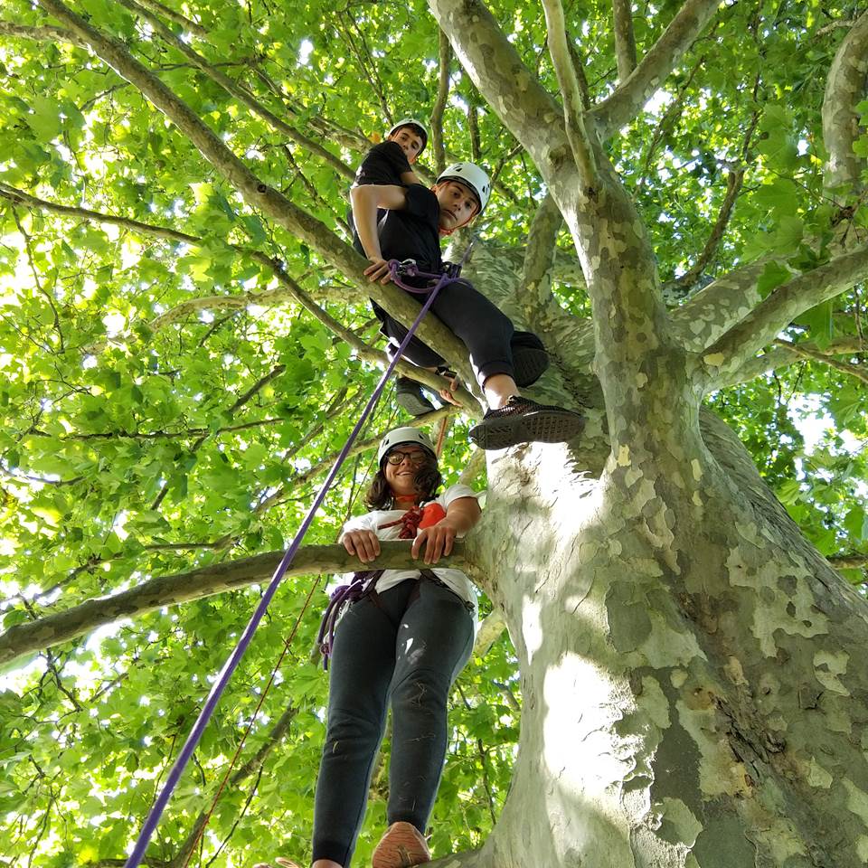 Escalade dans les arbres Pau Pyrénées 64 Sports Loisirs Outdoor