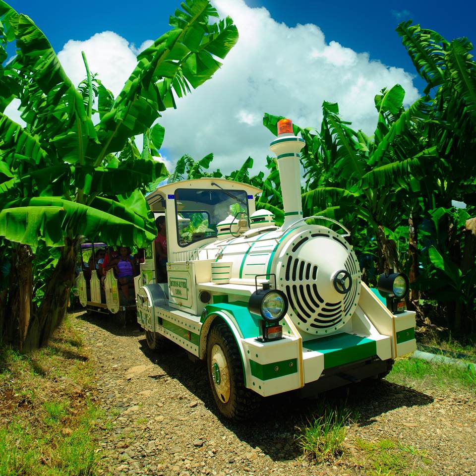 PHOTO-TRAIN-COUVERTURE-BROCHURE