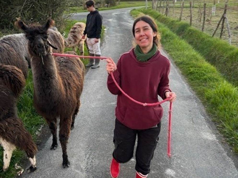 Prendre le temps de découvrir son lama ou alpaga