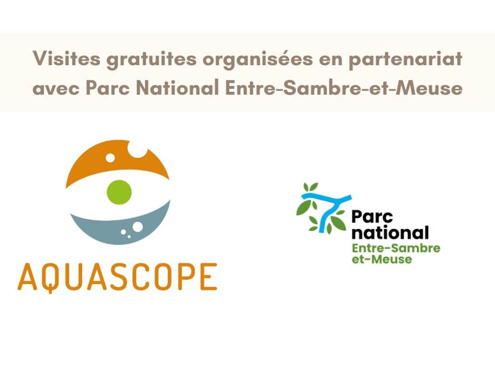 Montage visites PN ESEM