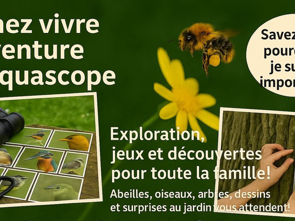 Activité 30 avril 2025