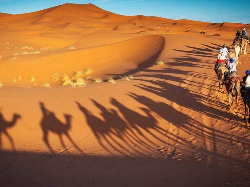 une balade à dos de chameau à travers les dune à Zagora