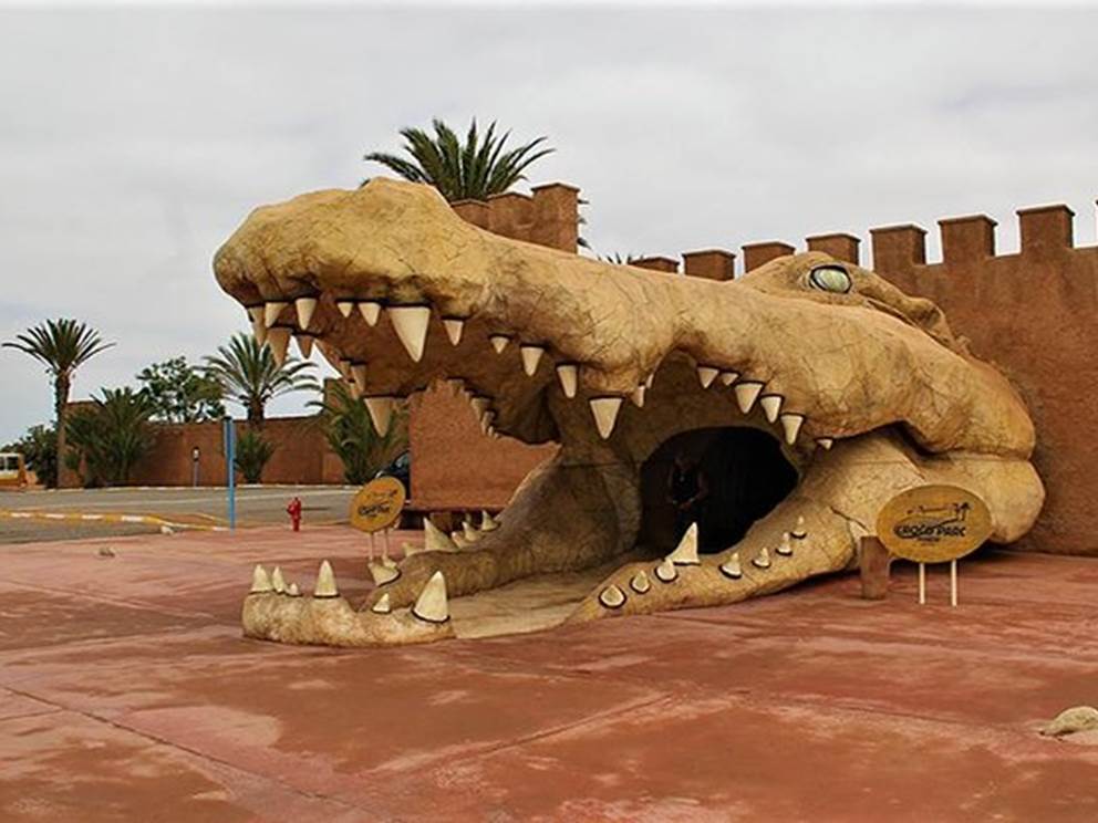croco