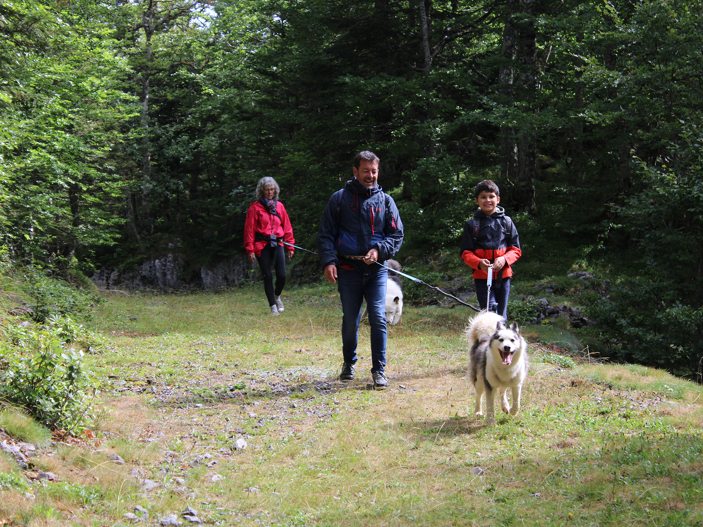 Cani-randonnée en famille