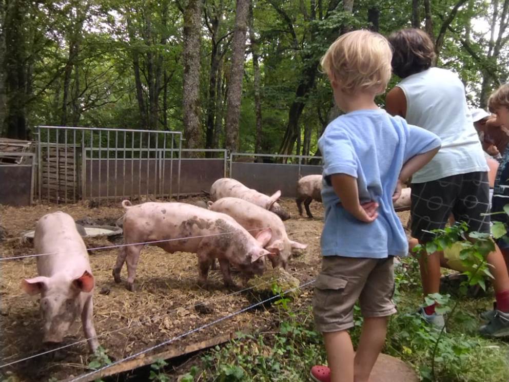 Périgord Inattendu, Accueil à la Ferme