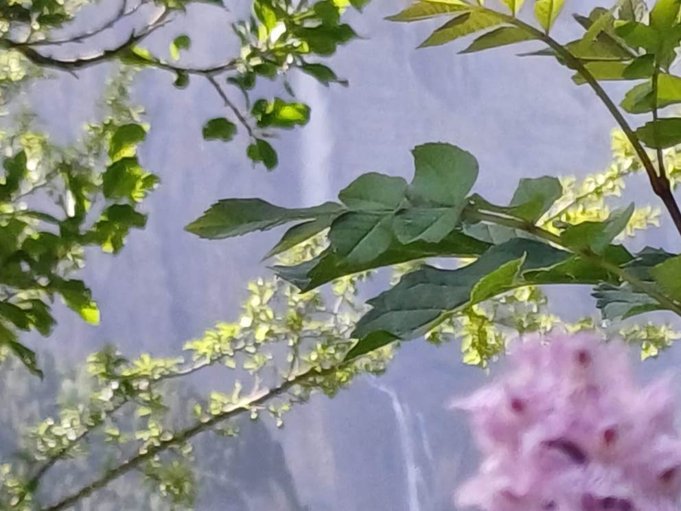 La cascade de Gavarnie