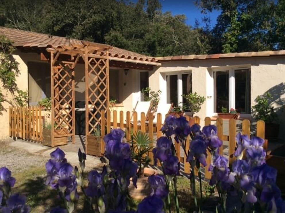 Bignone exterieur printemps