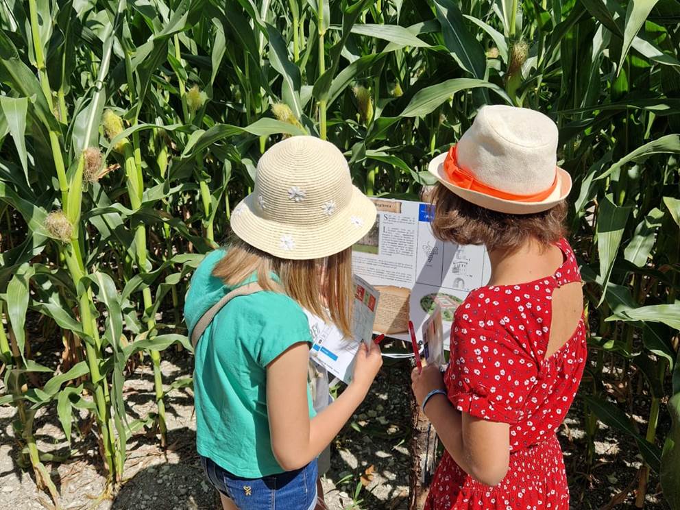 Périgord Inattendu, Été Actif Labyrinthe à Vendoire
