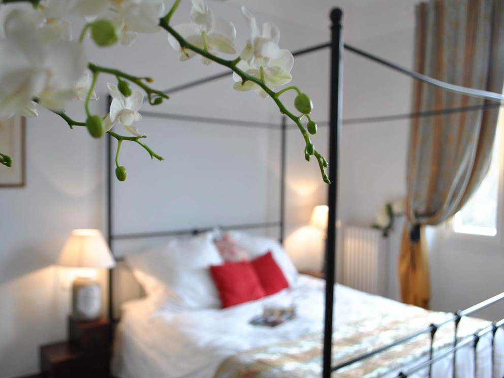 baldaquin orchidéeDSC_5000