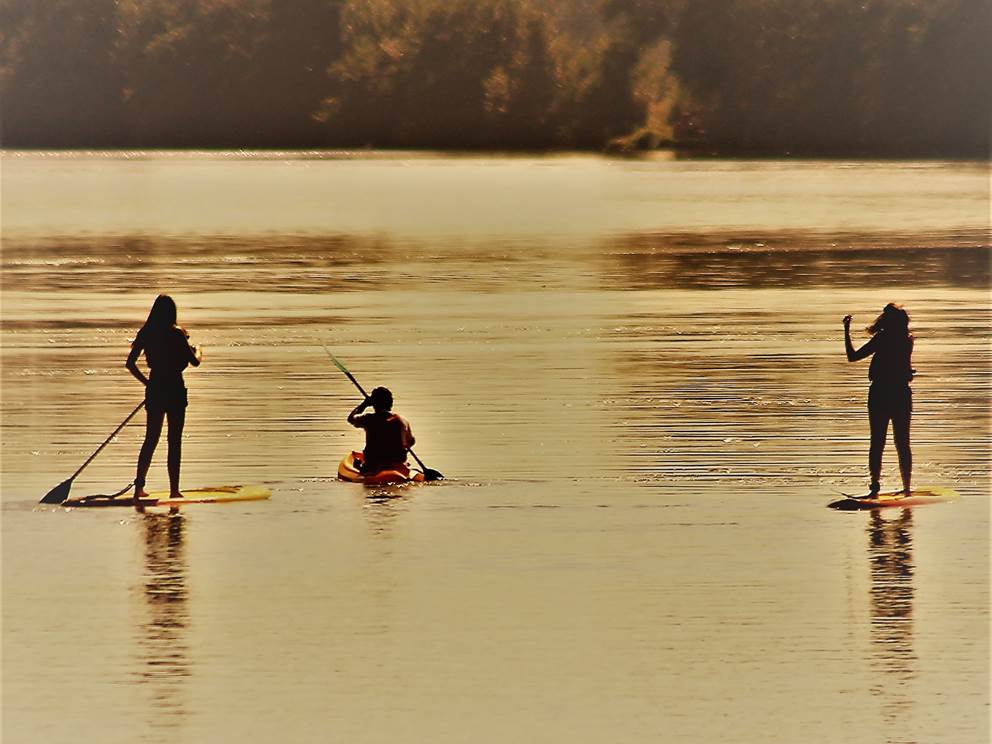 paddle