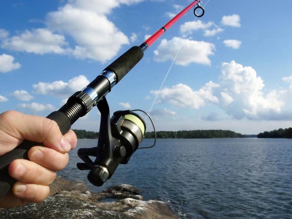 Pêche